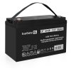 Exegate EX282985RUS Аккумуляторная батарея DT 12100 (12V 100Ah, болт М6)