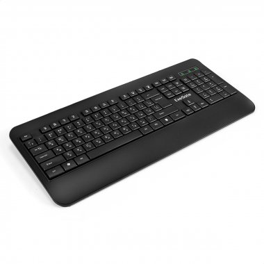 Фотография товара 'Exegate EX296922RUS Клавиатура Professional Standard LY-E5500M'