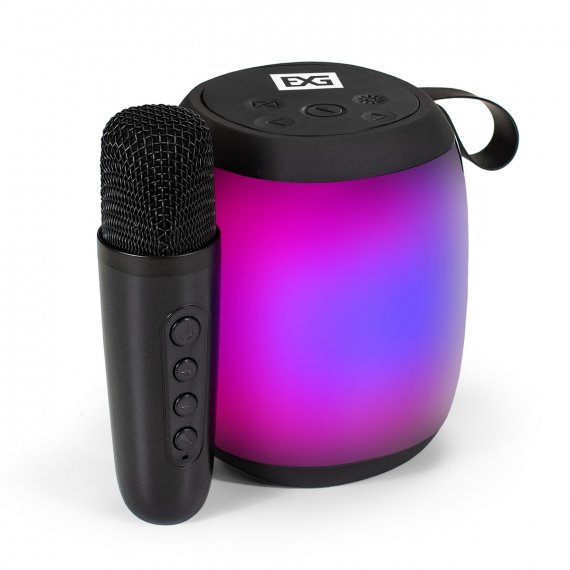 Фотография товара 'Exegate EX294944RUS Караоке-система Bro 310'